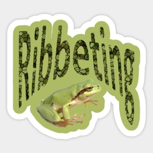 Ribbeting Text Pattern With Tree Frog Photograph Sticker